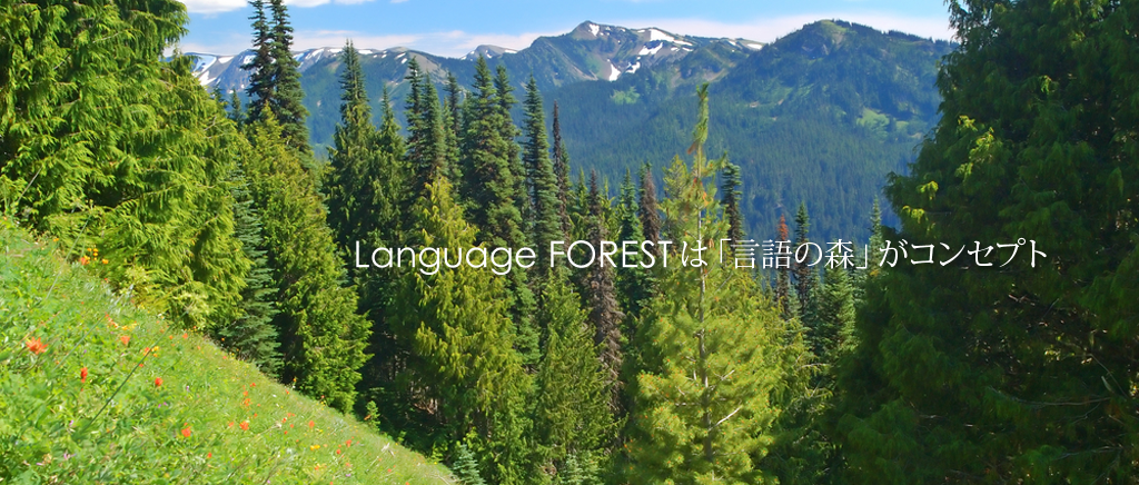 Language FOREST は「言語の森」がコンセプト